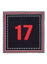 Main View -Click To Enlarge '17' silk twill scarf