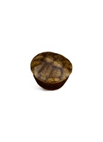 Main View -Click To Enlarge Turtle scented candle