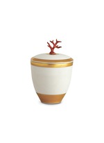 Main View -Click To Enlarge Coral Scented Candle