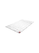Main View -Click To Enlarge Summerlight goose down cotton cambric duvet - Queen size