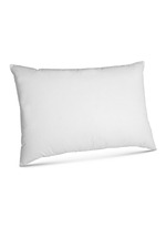 Main View -Click To Enlarge Down pillow