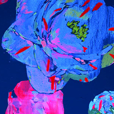 Fashion Meets Art