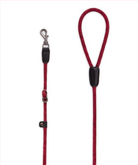 High5dogs LEADER LEASH