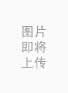 - BAO BAO WAN - 小海马18K白金蓝宝石项链