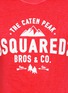Detail View - Click To Enlarge - 71465 - 'The Caten Peak' cracked print T-shirt