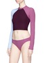 Figure View - Click To Enlarge - FLAGPOLE SWIM - 'Everly' colourblock cropped top