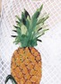 Detail View - Click To Enlarge - - - Pineapple embellished lattice embroidery dress
