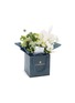 Detail View - Click To Enlarge - ELLERMANN FLOWER BOUTIQUE - Cotton & Lace in a vase