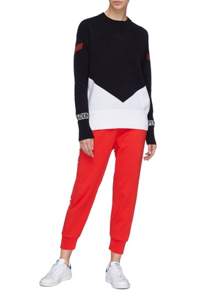 Figure View - Click To Enlarge - P.E NATION - 'Game Play' colourblock sweater