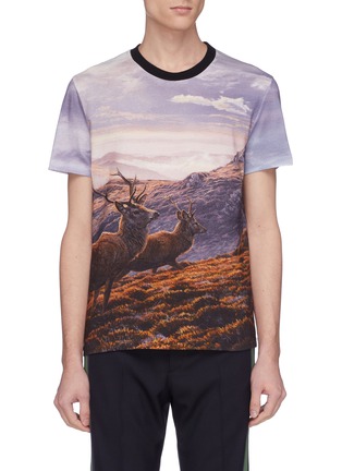 Main View - Click To Enlarge - STELLA MCCARTNEY - Deer photographic print organic cotton T-shirt