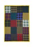 Main View - Click To Enlarge - FRANCO FERRARI - Mixed check print cashmere scarf