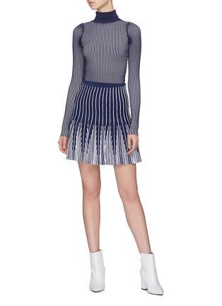 Figure View - Click To Enlarge - PH5 - 'Ivy' stripe knit flared skirt