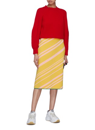 Figure View - Click To Enlarge - ZI II CI IEN - Contrast hem stripe skirt