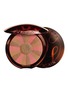 Main View - Click To Enlarge - GUERLAIN - Terracotta Light Healthy Glow Vitamin-Radiance Powder – 05 Deep Cool