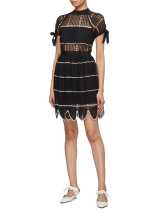Figure View - Click To Enlarge - SELF-PORTRAIT - Scalloped hem stripe crochet lace dress