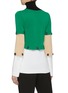 Back View - Click To Enlarge - ROSETTA GETTY - Detachable colourblock panel turtleneck sweater