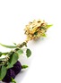 Detail View - Click To Enlarge - MERCEDES SALAZAR - 'Grape' drop clip earrings