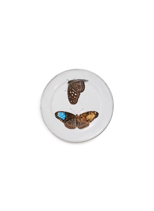 Main View - Click To Enlarge - ASTIER DE VILLATTE - x John Derian Flying-Landed Butterfly plate