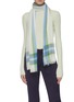 Figure View - Click To Enlarge - JANAVI - 'Stripe' tartan plaid border Merino wool scarf