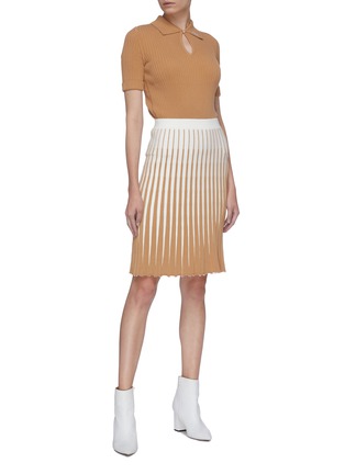 Figure View - Click To Enlarge - PH5 - 'Aliz' colourblock pleated knit midi skirt