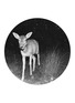 Main View - Click To Enlarge - PONY RIDER - Bambi Nights wall dot