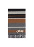 Detail View - Click To Enlarge - LOEWE - Logo embroidered colourblock rugby stripe wool scarf