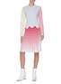 Figure View - Click To Enlarge - PH5 - 'Thoms' gradient colourblock ribbed midi skirt