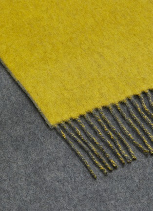 Detail View - Click To Enlarge - FRANCO FERRARI - Reversible cashmere scarf