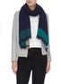 Figure View - Click To Enlarge - JOHNSTONS OF ELGIN - Colourblock cashmere scarf