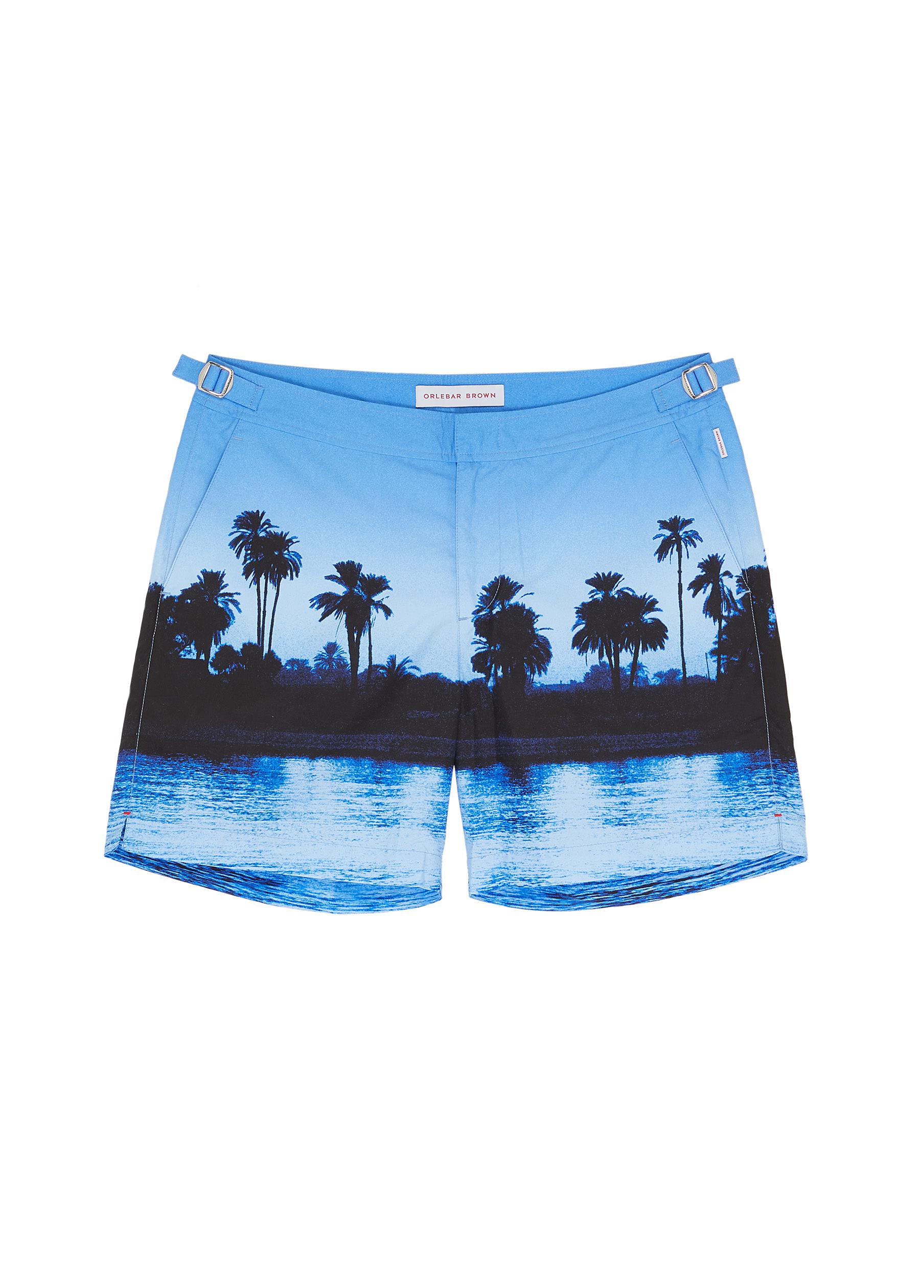 french bulldog swim trunks