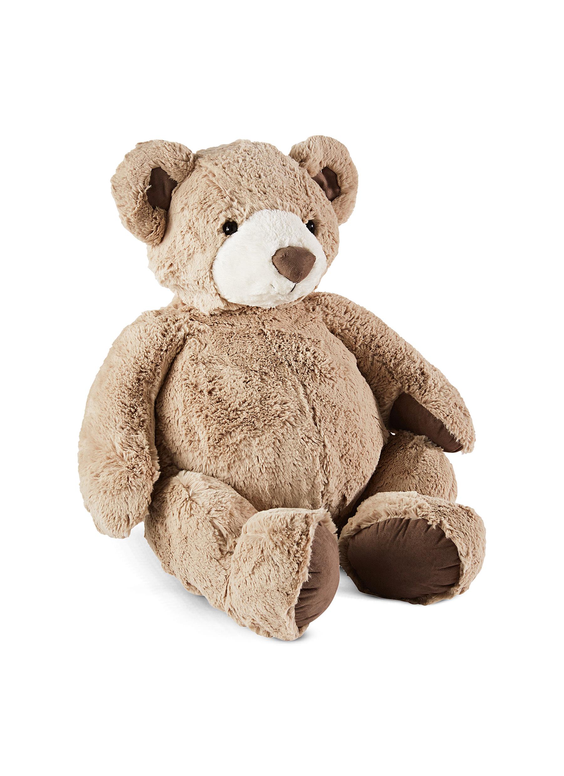 bear teddy bear