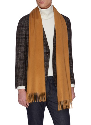 Figure View - Click To Enlarge - JOHNSTONS OF ELGIN - Fringed cashmere scarf