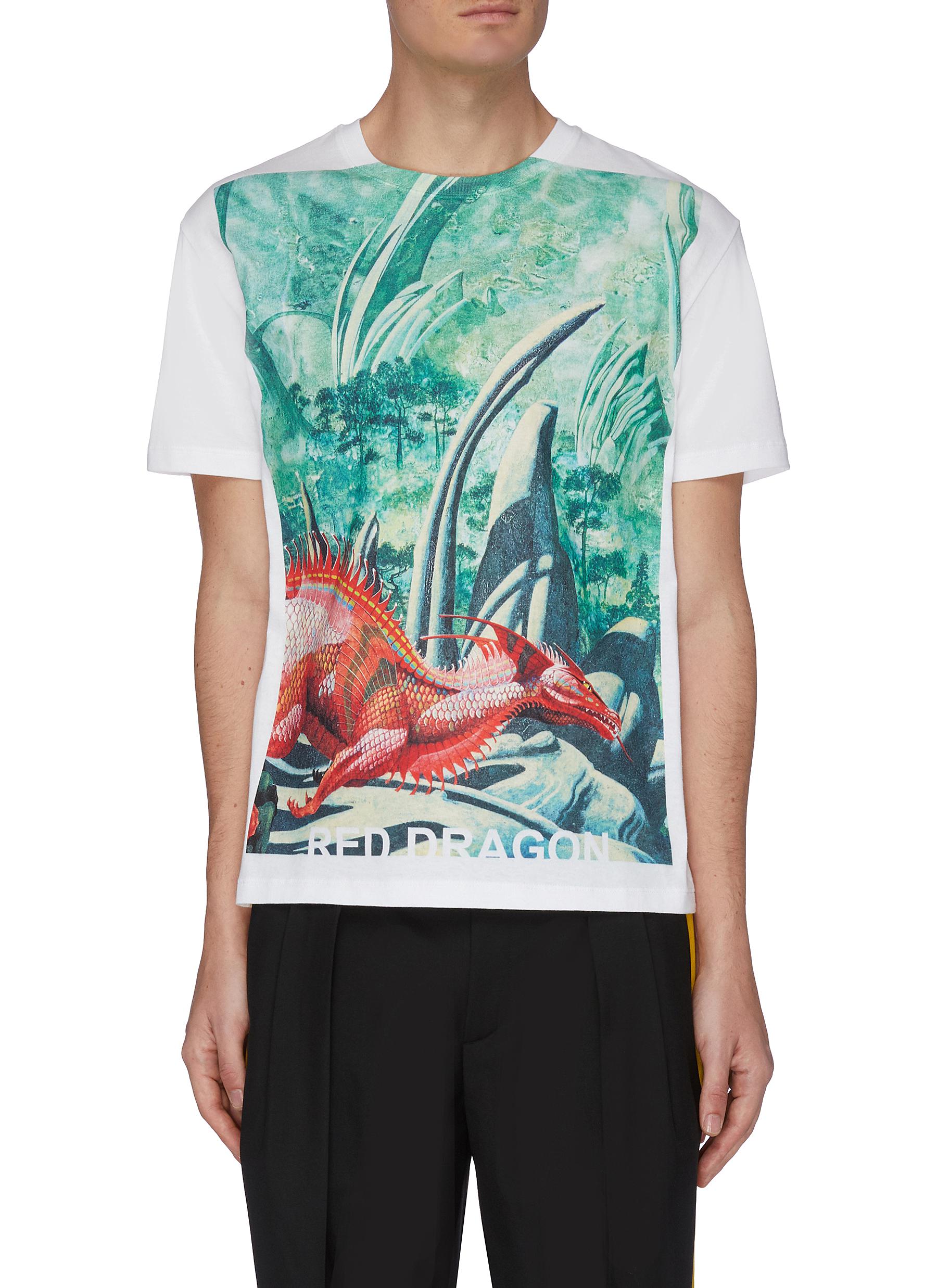 dragon t shirt