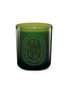 Main View - Click To Enlarge - DIPTYQUE - FIGUIER VERTE SCENTED COLOURED CANDLE 300G