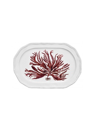 Main View - Click To Enlarge - ASTIER DE VILLATTE - x John Derian Leaf Plate