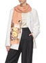 Figure View - Click To Enlarge - JANAVI - Floral embroidered cashmere scarf