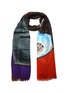Main View - Click To Enlarge - FRANCO FERRARI - 'Tarth' printed wool blend scarf