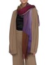 Figure View - Click To Enlarge - FRANCO FERRARI - 'Evans Wash' gradient scarf