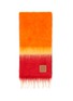Figure View - Click To Enlarge - LOEWE - Stripe scarf