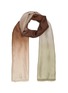 Main View - Click To Enlarge - FALIERO SARTI - Shana silk scarf