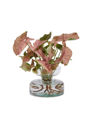 Main View - Click To Enlarge - ELLERMANN FLOWER BOUTIQUE - x Lane Crawford Syngonium Pink short bulb planter vase