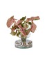 Main View - Click To Enlarge - ELLERMANN FLOWER BOUTIQUE - x Lane Crawford Syngonium Pink short bulb planter vase
