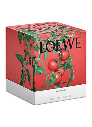 Detail View - Click To Enlarge - LOEWE - Tomato Leaves medium candle