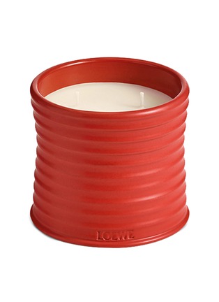 Main View - Click To Enlarge - LOEWE - Tomato Leaves medium candle