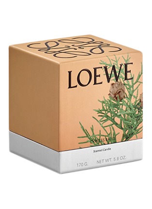 Detail View - Click To Enlarge - LOEWE - Cypress Balls Standard Candle