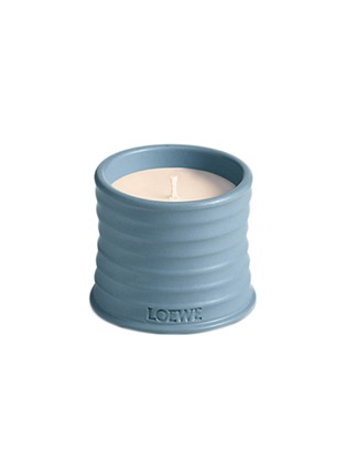 Main View - Click To Enlarge - LOEWE - Cypress Balls Standard Candle