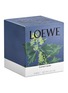 Detail View - Click To Enlarge - LOEWE - Ivy large candle