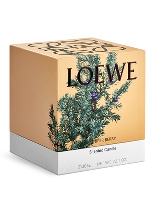 Detail View - Click To Enlarge - LOEWE - Juniper Berry large candle