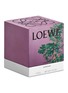 Detail View - Click To Enlarge - LOEWE - Coriander Standard Candle