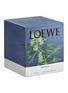 Detail View - Click To Enlarge - LOEWE - Ivy standard candle